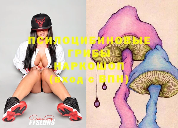 ГАЛЛЮЦИНОГЕННЫЕ ГРИБЫ Навашино